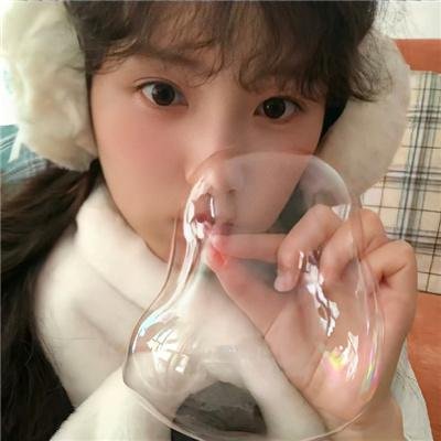 森林进化论 第二季